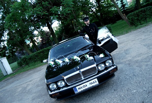 Wynajem Aut Do ślubu Bez Stawki Kilometrowej I Godzinowej