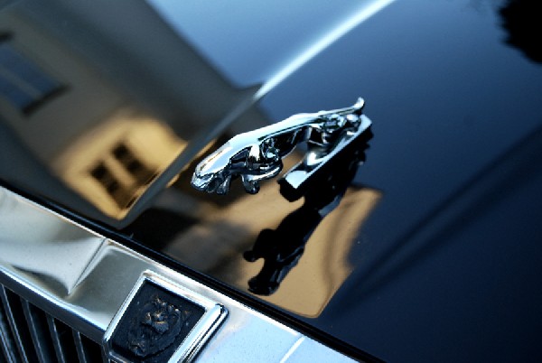 Wynajem Aut Do ślubu Bez Stawki Kilometrowej I Godzinowej 3