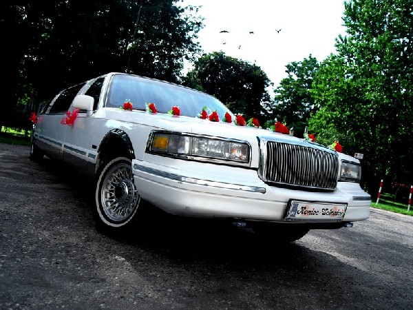 Wynajem Aut Do ślubu Bez Stawki Kilometrowej I Godzinowej 4