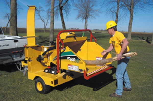 Wynajem Rębaka , Porządkowanie Terenu , Wycinka Drzew