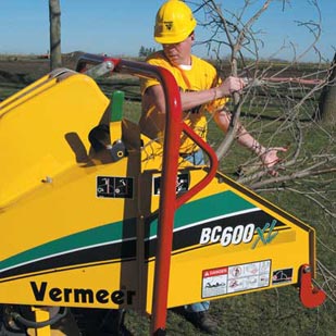 Wynajem Rębaka , Porządkowanie Terenu , Wycinka Drzew 2