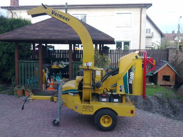 Wynajem Rębaka , Porządkowanie Terenu , Wycinka Drzew 4