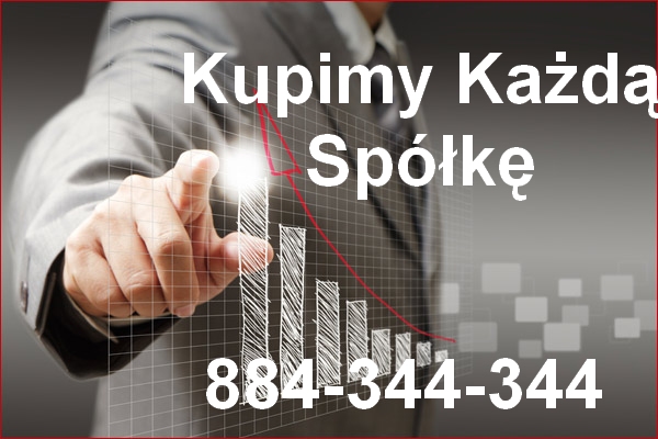Przejmę Zadłużoną Spółkę - Windykacja 299 Ksh