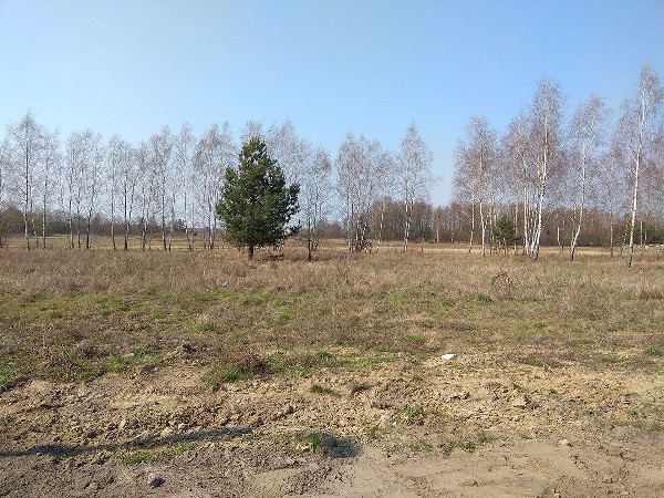 Działka Budowlana 1200 Mkw W Malcanowie (gm. Wiązowna) 2