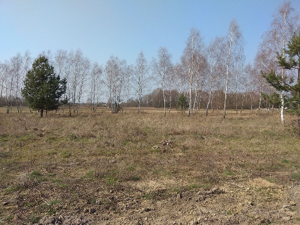 Działka Budowlana 1200 Mkw W Malcanowie (gm. Wiązowna) 4