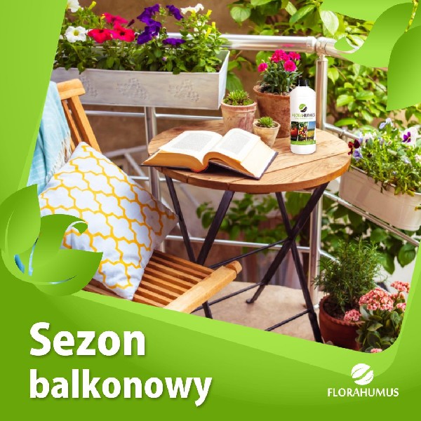 Rozpoczynamy Sezon Balkonowy Z Florahumus
