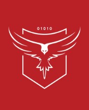 Import Samochodów Z Usa