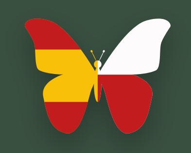 Tłumacz Hiszpańskiego