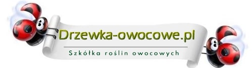 Drzewa Owocowe
