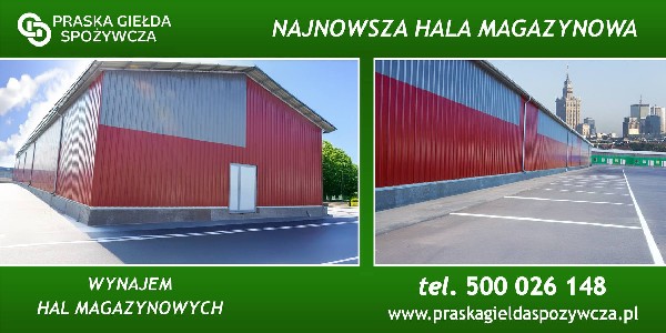 Hala/magazyn Na Wynajem